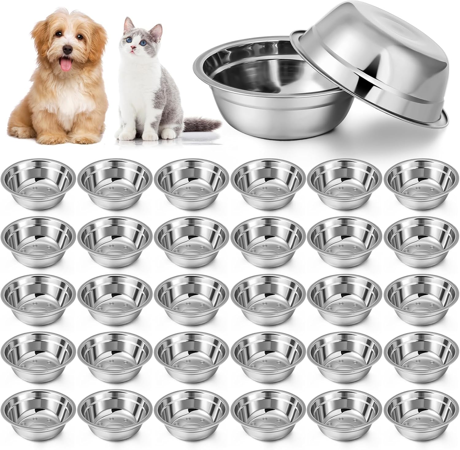 Pet Feeding Bowl Packs — Pet Boarding Facilities