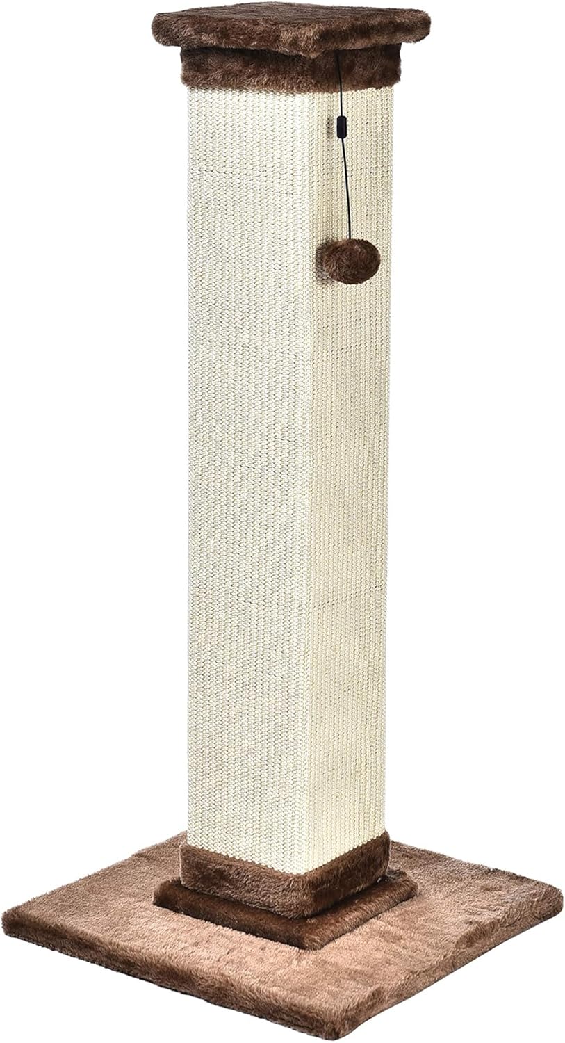 Cat Scratching Posts — Pet Retail Stores