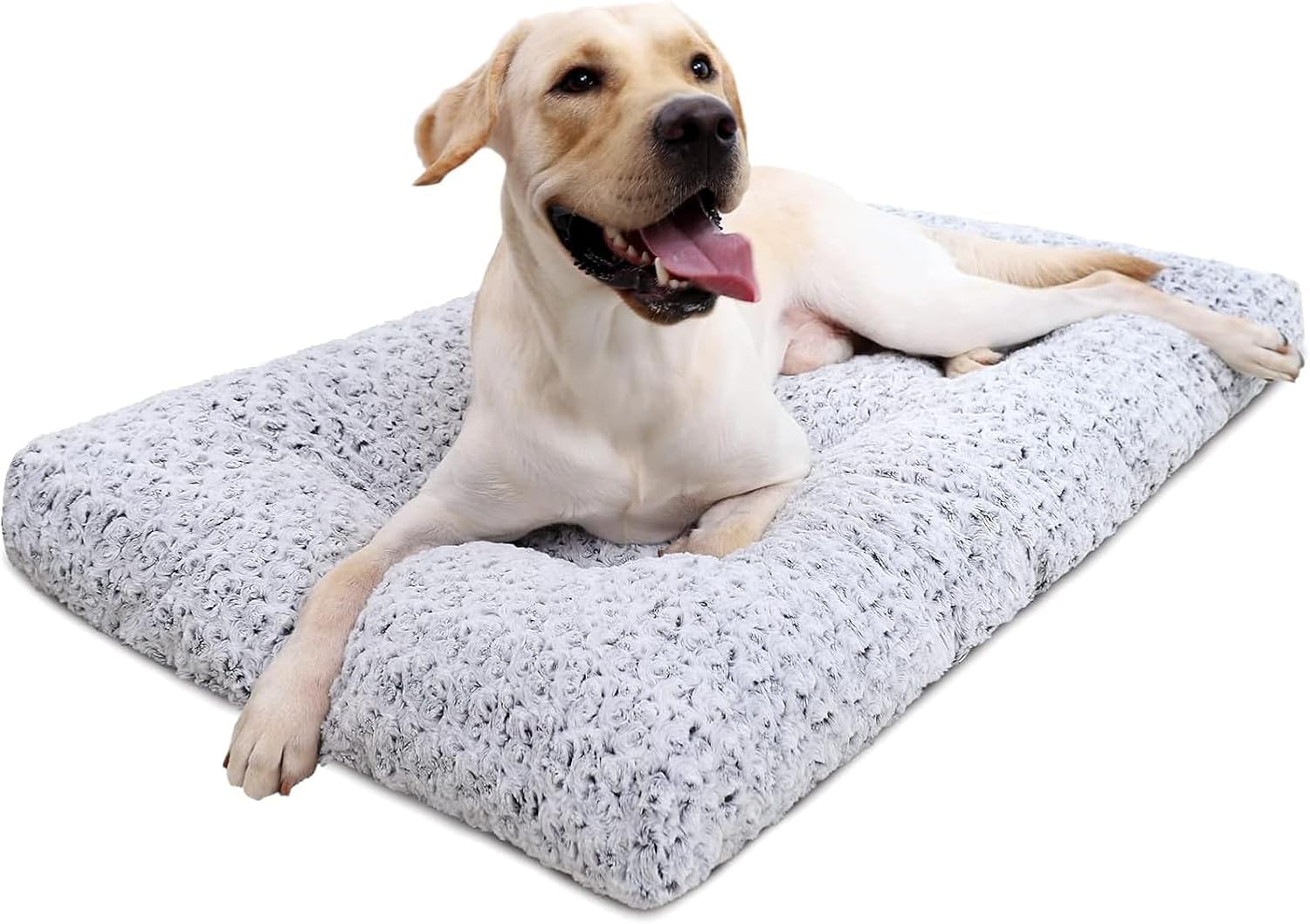 Dog Cushion Beds — Pet Boarding And Retail Buyers